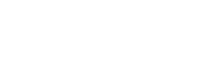 Velosyti